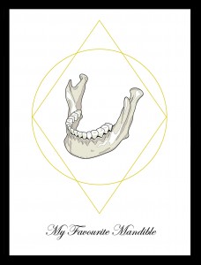My Favourite Mandible